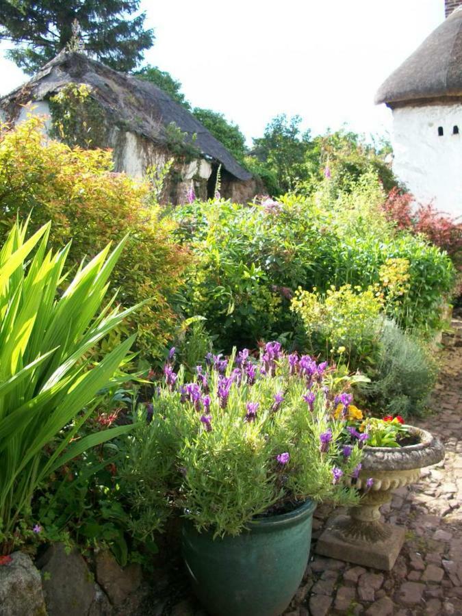 Middletown Farmhouse B&B โอ๊คแฮมป์ตัน ภายนอก รูปภาพ